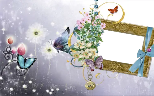 Foto rámeček - Stěhování Motýli