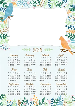Cadre photo - Calendar 2018. Frame with birds