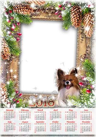 Cadre photo - Calendar 2018. Lights and a dog