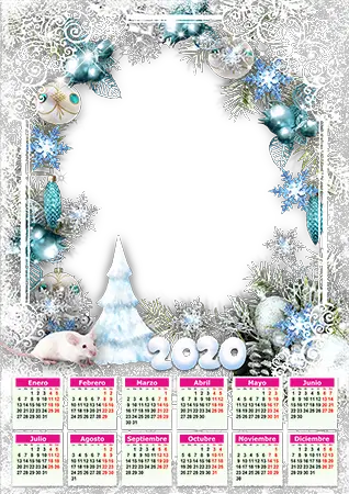 Marco de fotos - Calendar 2020. White patterns