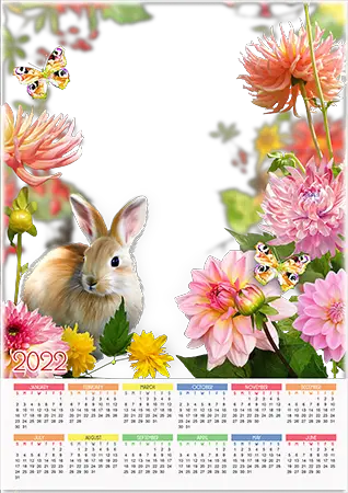Photo frame - Calendar 2022. Cute rabbit