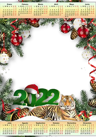 Photo frame - Calendar 2022. Tiger symbol of the year