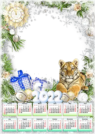 Foto rāmji - Calendar 2022. Tiger with presents