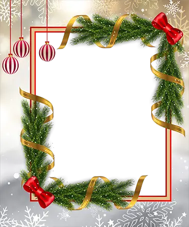 Cadre photo - Christmas border with green branches