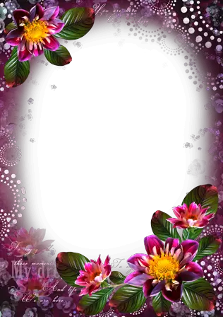 Photo frame - Colorful flowers