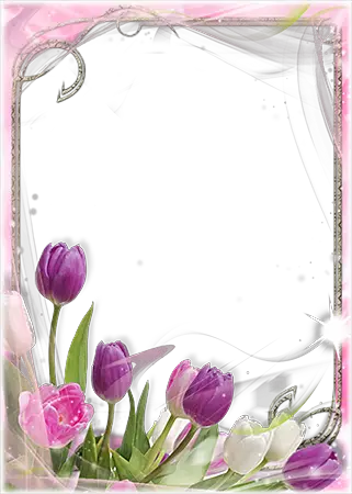 Photo frame - Delicate purple tulips