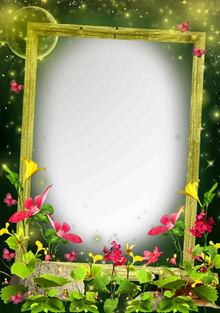 Foto rāmji - Ziedu pļava mēness gaismā