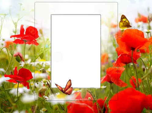 Photo frame - Frame with poppies