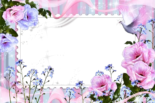 Foto rámeček - Svěžest ranních květů