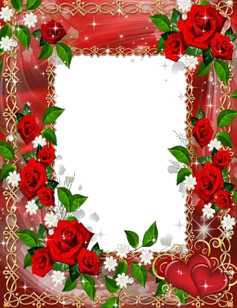 Cadre photo - L'amour en roses