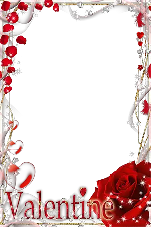 Photo frame - Red rose on Valentines Day