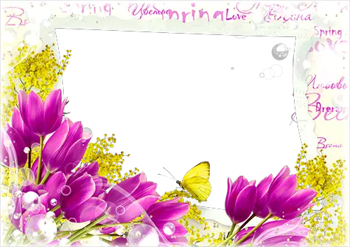 Photo frame - Spring violet tulips and yellow butterfly