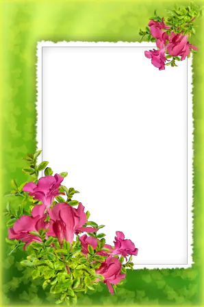 Foto rāmji - Maigi ziedu aromāts