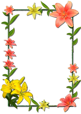 Photo frame - Tender lilies