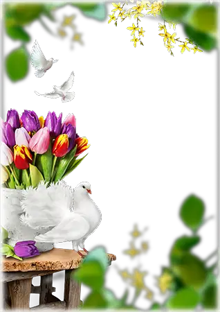 Photo frame - Tulips and white doves