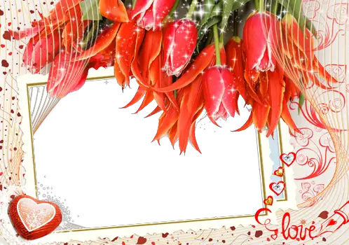 Cadre photo - Tulipes avec amour