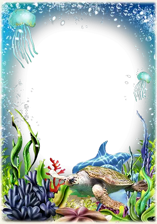 Foto rámeček - Letní dovolená u moře. Delfín a želva