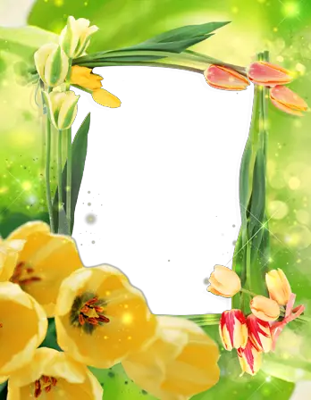 Photo frame - Yellow tulips