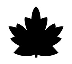 Photo in a shape of a maple leaf